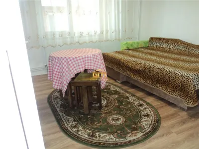 Apartament 2 camere, etaj 1 , decomandat, cu centrala proprie - foto 5