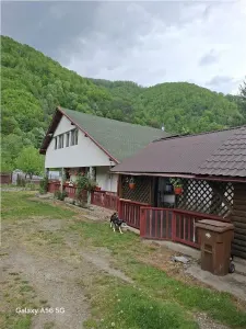 Casă de vacanță de vanzare -Pascoaia, Brezoi, pe malul râului Lotru - Pascoaia