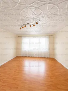Casa de inchiriat | pretabil birouri | Racadau - foto 5