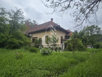 Proprietate cu potential turistic in Gurahont - foto 4