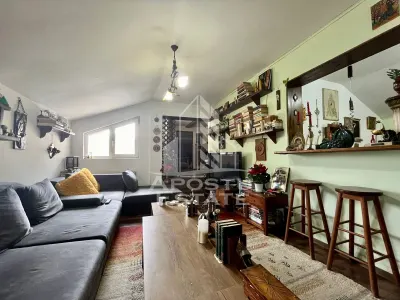 Casa cu 6 camere, pe doua nivele, zona Lipovei, Timisoara - foto 11