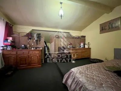 Casa cu 6 camere, pe doua nivele, zona Lipovei, Timisoara - foto 19