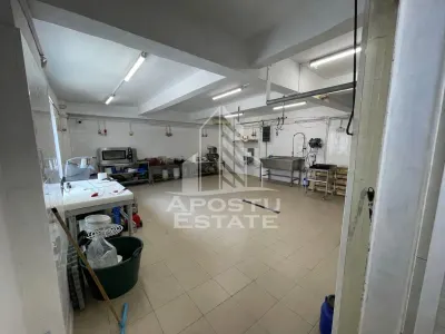 De inchiriat laborator carmangerie, avizat DSV, Girocului. - Timisoara