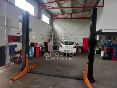 Sediu firma /birouri 160 mp/curte privata 240 mp Giroc - foto 7