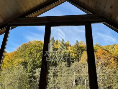 Cabana de inchiriat in Apuseni, Ciubar, Fara vecini, Foisor, Atv - foto 5