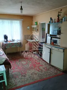 Casa batraneasca de vanzare, 4 camere, in Hunedoara, sat Micanesti - foto 18