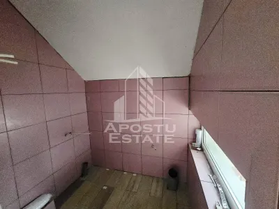 Casa individuala de vanzare, P+M, Dudestii Noi - foto 16