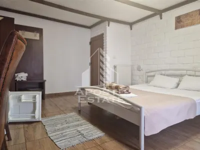 Pensiune 22 de camere si afacere la cheie cu 0% comision Zona Micalaca - foto 17