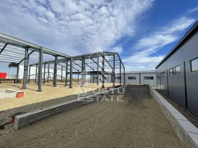 Hala noua cu rampa tir, 540 mpu, Giarmata - foto 5
