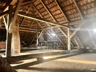 Casa individuala cu intrari separate in zona Complexului Studentesc - foto 9