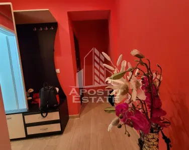 Apartament de vanzare cu 2 camere, decomandat, zona Aradului Timisoara - foto 6