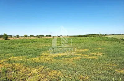 Teren, intrarea in Zadareni - foto 4