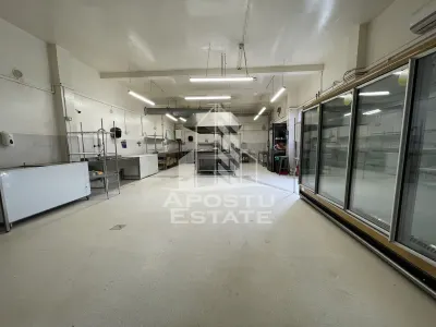 Spatiu comercial avizat DSV,  bucatarie utilata, Girocului. - foto 2