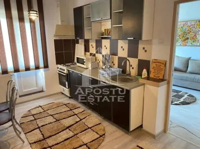 Apartament cu 2 camere de inchiriat zona Lipovei - Timisoara