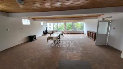 Casa ideala pentru birouri/alte activitati Mehala - foto 4