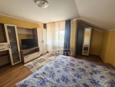 Casa spatioasa, 280 mp utili, Sannicolau Mare - foto 11