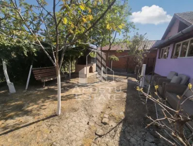 Casa spatioasa, 280 mp utili, Sannicolau Mare - foto 3