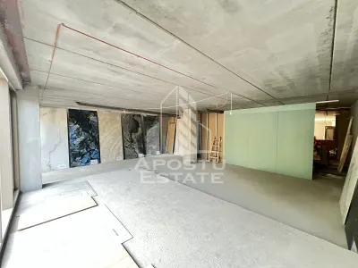 Spatiu comercial de vanzare 240 mp Central Timisoara - foto 2