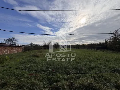 Casa individuala, 4 camere, 2600mp teren, Barcea Mare in Hunedoara - foto 18