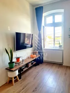 Apartament 2 camere cu garsoniera si garaj, Badea Cartan Timisoara - foto 7