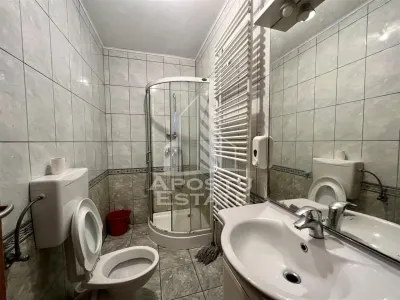 Casa individuala de vanzare, zona Dorobantilor Timisoara - foto 13