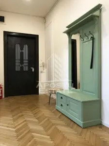 Apartament ultracentral, complet renovat in Timisoara - foto 14