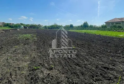 Casa individuala cu curte individuala si gradina - Zona Gai - foto 14
