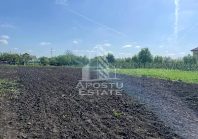 Casa individuala cu curte individuala si gradina - Zona Gai - foto 18