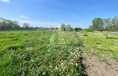 Casa individuala cu curte individuala si gradina - Zona Gai - foto 19