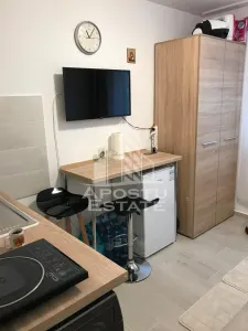 Garsoniera de vanzare, etaj 1, Dacia, Timisoara - Timisoara