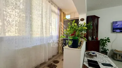 Apartament cu 3 camere, curte si boxa de vanzare, Zona Simion Barnutiu - foto 12