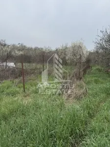 Casa unifamiliala in Remetea Mare  cu teren de 3383 mp. - foto 13