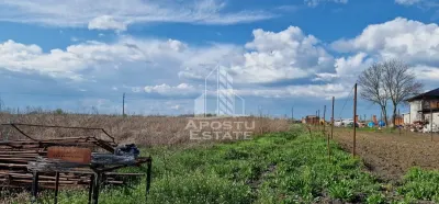 Teren intravilan langa case 5000 mp , apa , curent , Sacosu Turcesc - foto 2