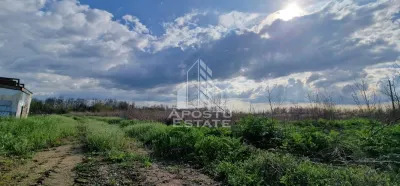 Teren intravilan langa case 5000 mp , apa , curent , Sacosu Turcesc - foto 3