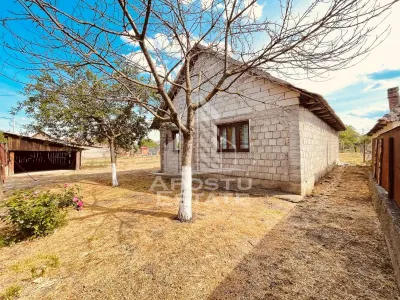 Casa individuala cu teren generos - Pecica - foto 4