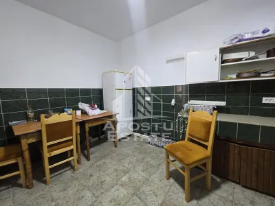 Casa de vanzare, potential pensiune, pe malul Timisului,Sag,comision 0 - foto 16