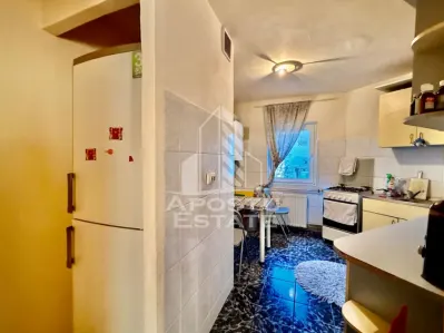 Apartament 3 camere de vanzare, etaj intermediar, Fabric Timisoara - foto 10