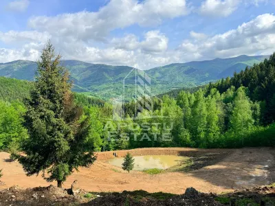 Oportunitate! Domeniu montan, cu lac propriu, oras Lupeni, Hunedoara - Lupeni