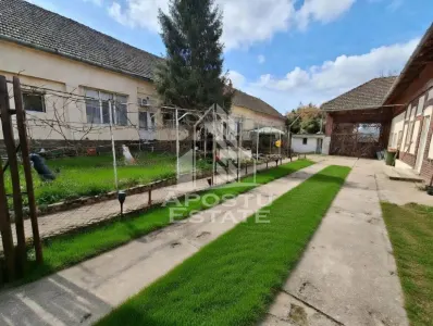 Casa spatioasa cu 2 locuinte si teren generos de 5.755 mp in ?andra - foto 2