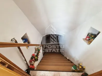 Casa spatioasa cu 2 locuinte si teren generos de 5.755 mp in ?andra - foto 10