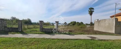 Teren la Dunare 2400Mp cu utilitati - foto 4