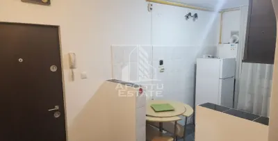Apartament cu 2 camere de vanzare in zona Girocului, Timisoara - foto 4