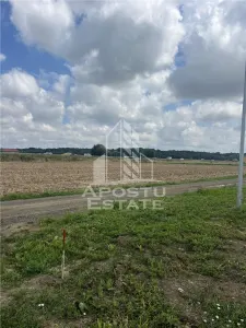Teren Ghiroda cartier Bistra - toate utilitatile - foto 3