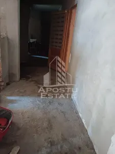 Casa individuala in Cruceni ,la granita cu Serbia - foto 5