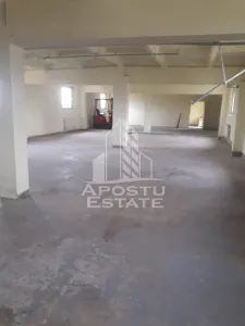 De vanzare / inchiriere hala industriala in Mosnita Noua, jud. Timis - Mosnita Noua