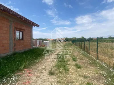 Teren constructii intravilan de vanzare Dragsina Timis 1000 mp - Dragsina