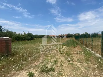 Teren constructii intravilan de vanzare Dragsina Timis 1000 mp - foto 2
