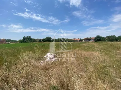 Teren constructii intravilan de vanzare Dragsina Timis 1000 mp - foto 3