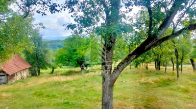 Teren Intravilan Magulicea - Zona Varfurile - foto 3