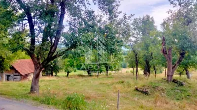 Teren Intravilan Magulicea - Zona Varfurile - foto 4